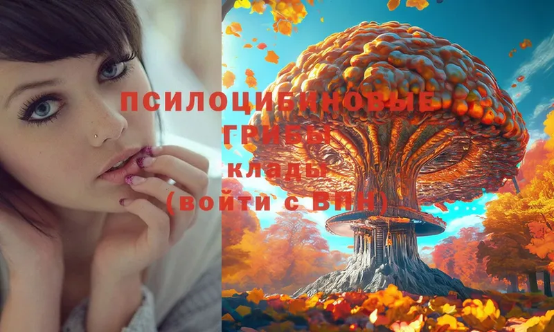 Псилоцибиновые грибы Psilocybe  наркота  Анжеро-Судженск 